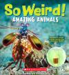 So Weird!: Amazing Animals