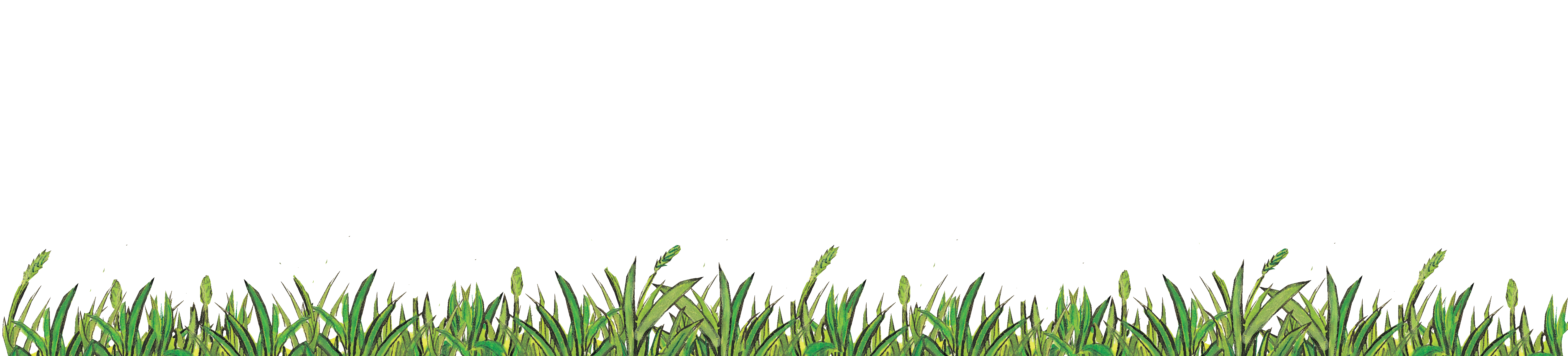 grassfooter